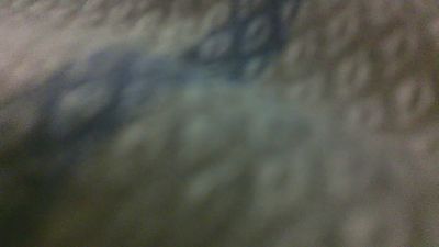 andreaaaa101 webcam model stream image