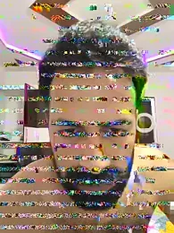 dinnu36 webcam model stream image
