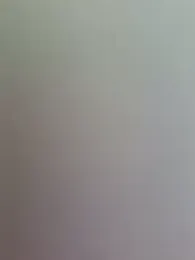 Mambojambo-66 webcam model stream image