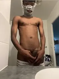 Renoirmonter webcam model stream image