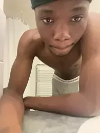 Renoirmonter webcam model stream image