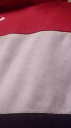 Cerditoi webcam model stream image