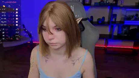 zelda_1 webcam model stream image