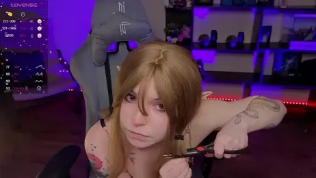 zelda_1 webcam model stream image