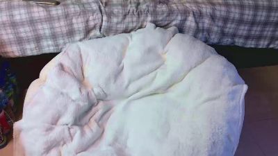 LimaLexxx webcam model stream image