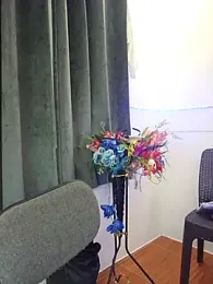 DominnantTransqueen webcam model stream image