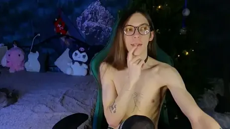 artass2 webcam model stream image