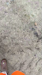 Lougarou78 webcam model stream image