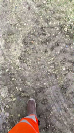 Lougarou78 webcam model stream image