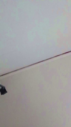 porca26_sexy webcam model stream image