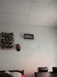 cristofer- webcam model stream image