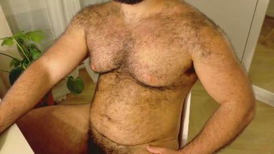 bearhairs webcam model stream image