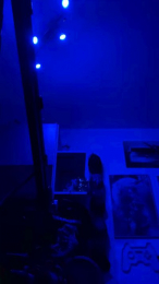 BaNaNeNOrAnGeN webcam model stream image