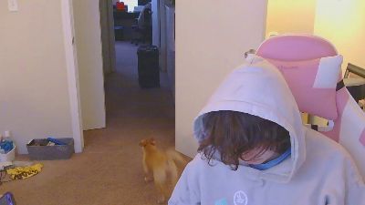 Roomfullofcum webcam cam4 model stream image