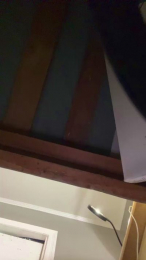 princessfeefee3 webcam model stream image