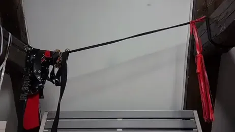 coyemoo webcam model stream image