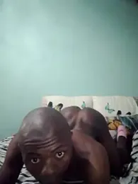 DigCrok webcam model stream image
