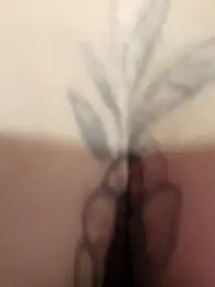 Virgin-Totona webcam model stream image