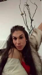 Mishib webcam model stream image