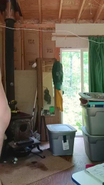 Timb8000 webcam model stream image