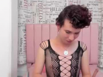 allen_jax webcam model stream image