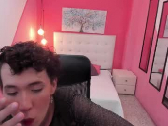 allen_jax webcam model stream image