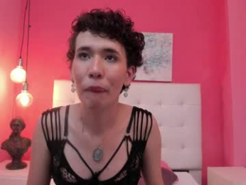 allen_jax webcam model stream image