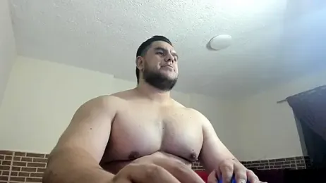 ApholoVV webcam model stream image