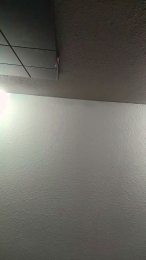 ToTrue87 webcam model stream image