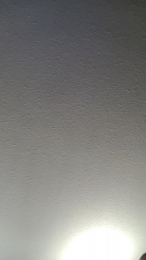ToTrue87 webcam model stream image