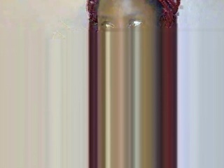 zarazoe webcam model stream image