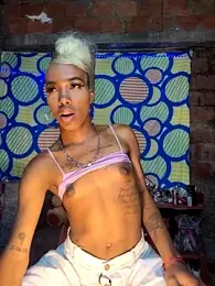 BabyDickTs1 webcam model stream image
