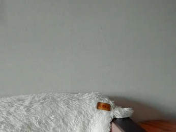 evapuff webcam model stream image