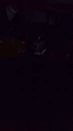 Rujucuer webcam model stream image