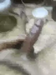 My120my120 webcam model stream image