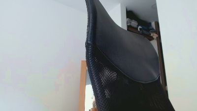 HADESS22 webcam model stream image