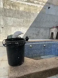 MrLeoLatino webcam model stream image