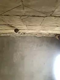 Boysex227 webcam stripchat model stream image