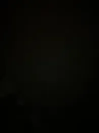 SucculentSexiness0 webcam stripchat model stream image