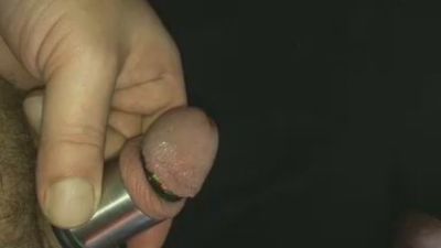 Tinyloserdick webcam model stream image