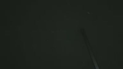 Tinyloserdick webcam cam4 model stream image