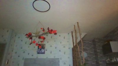 chillyco1 webcam model stream image
