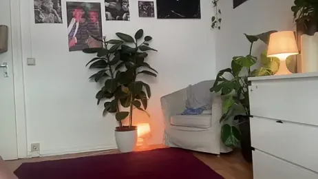 itscassyrose stripchat stream image