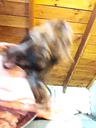 mariamac420 stripchat stream image