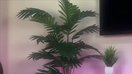 Wow-nisha stripchat stream image