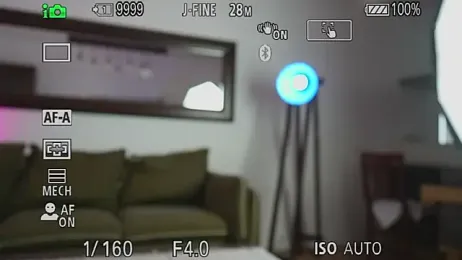 AlfaSex9 stripchat stream image