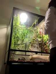 annablisss stripchat stream image