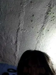 kiittyselenita stripchat stream image