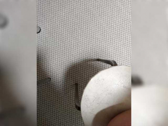 Angelia22 bongacams stream image