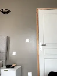 Sweety_Foxy69 stripchat stream image